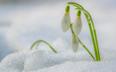 �������� � �������� ���������